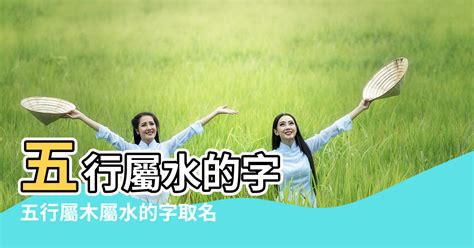 屬水的字 五行